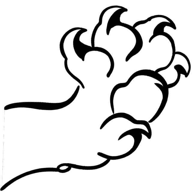 Кошачья лапа