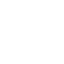 Level Group